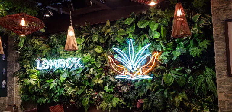 Touch Design neon sign plant wall feature