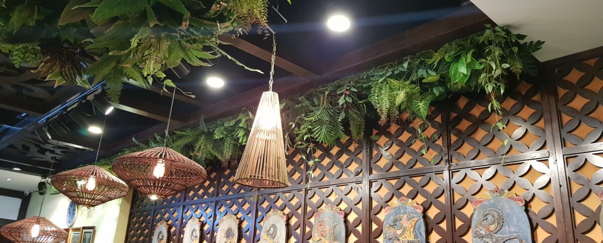 Touch Design wall design wooden decoration and plants